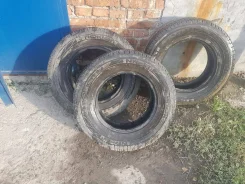 Nokian NR LT. �����������, �/�, ����� 5 % ����
