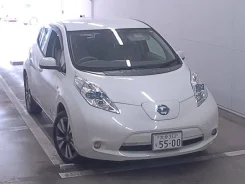 Nissan Leaf. �������, ��������, �������������, 88 000����. ��, �/�. ��� ����� �� ������������ ����