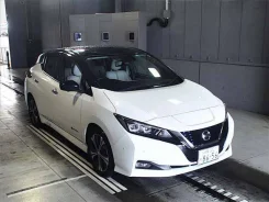 Nissan Leaf. �������, ��������, �������������, 5 000����. ��, �/�. ��� ����� �� ������������ ����