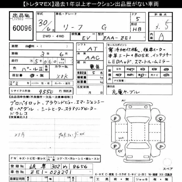 Nissan Leaf. �������, ��������, �������������, 5 000����. ��, �/�. ��� ����� �� ������������ ����
