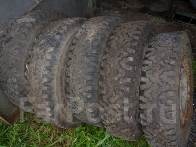 TyRex CRG O-184. ������, �/�, ����� 50 % ����