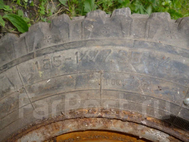 TyRex CRG O-184. ������, �/�, ����� 50 % ����