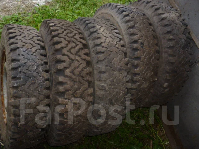 TyRex CRG O-184. ������, �/�, ����� 50 % ����