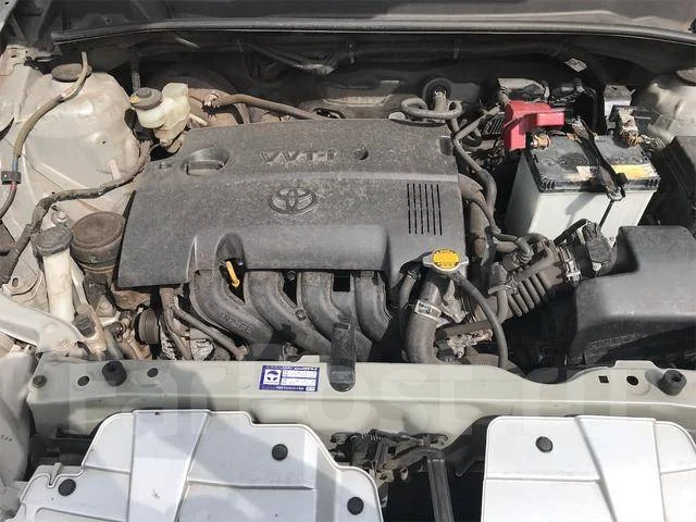Toyota Probox. ��������, ��������, 1.5 (110��.�.), ������, 56 000����. ��, �/�. ��� ����� �� ������������ ����