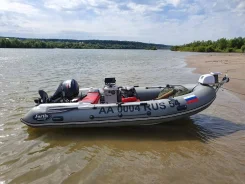 Fortis. 2017 ���, ����� 3,9��., ��������� ���������, 20��.�., ������ ����