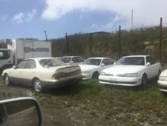 Toyota Camry Prominent. VZV31, 1WZ ����