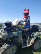 Kawasaki Brute Force 750. ��������, ��, �� ����