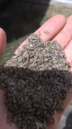 ���� ������������� 10 ��������� ����