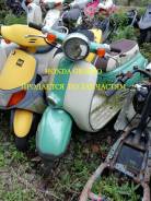 Honda Giorno ����