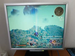 Acer. 19" ����