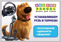 ��������. ����