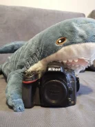 Nikon D610. 20 � ����� ��, ���: ��� ���� ����