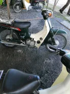 Suzuki Birdie. 50����. ��., ��������, ��� ���, ��� ������� ����