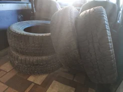 Rapid. ����� at, �/�, ����� 40�% ����