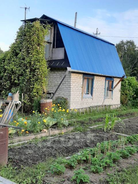 Снт комсомольск. СНТ Восток 1. Дача в Комсомольске на Амуре. СНТ Восток Хабаровск. Дачи Комсомольск на Амуре для начинающих.