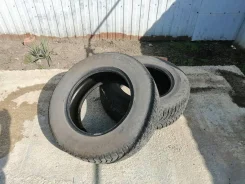 Bridgestone Blizzak Spike-01. ������, ����������, �/�, ����� 20 % ����