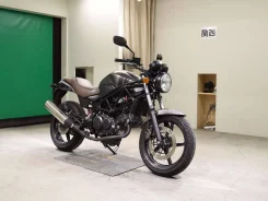 Honda VTR 250. ��������, ���������. ��� ����� �� ������������ ����