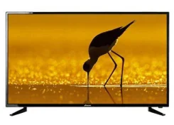 Galatec TVS-4201EL. LCD (��) ����