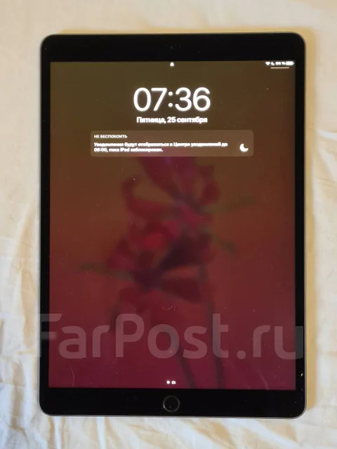 Apple iPad Air 3 ����
