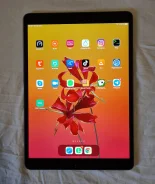 Apple iPad Air 3 ����