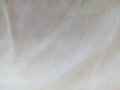 �����. ����