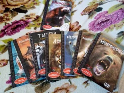 ������ DVD �����, ����� "������� ������� � ����������" ����
