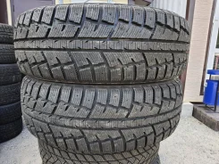 Delinte Winter WD4. ������, ��� �����, 2014 ���, ����� ����