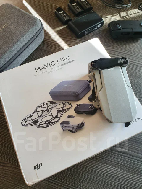 DJI Mavic Mini. � ������� ����