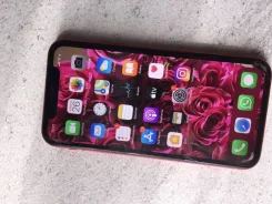 Apple iPhone Xr. �����, �������, 4G LTE ����