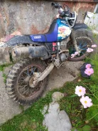 Yamaha TT-R 250 Raid. 250����. ��., ��������, ��� ���, � �������� ����