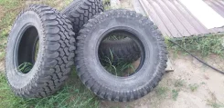 Forward Safari 540. ����� mt, �/�, ����� 10 % ����