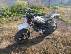 Suzuki Street Magic II. 50����. ��., ��������, ���, � �������� ����