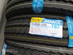 Annaite 787. �����������, 2020 ���, ����� ����