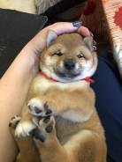 -.     