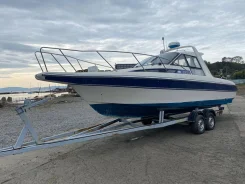 Yamaha FR-26. 1993 ���, ����� 8,7��., ��������� ���������, 165,4��.�., ������ ����
