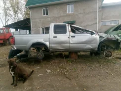 Nissan NP300. OTCUTCTBUET, YD25 ����