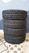Cordiant Polar 2. ������, ����������, 2019 ���, ����� ����