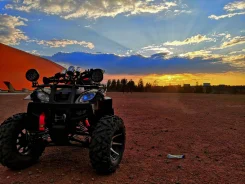 Yamaha Grizzly 250. ��������, ���� ���\���, � �������� ����