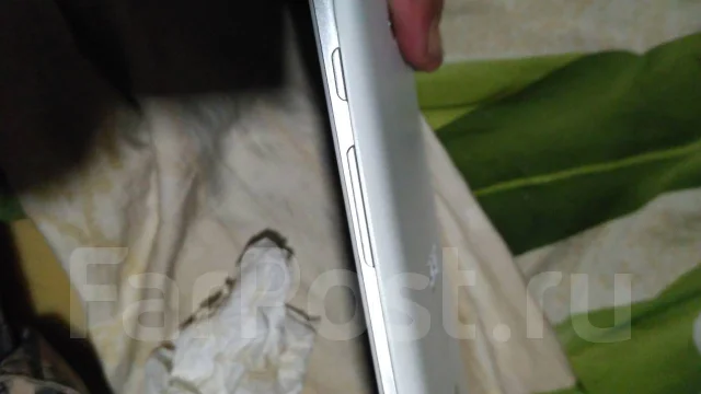 Acer ����