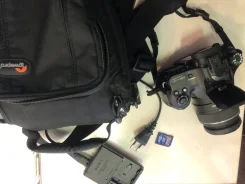 Sony Alpha SLT-A65. 20 � ����� ��, ���: 14� � ����� ����