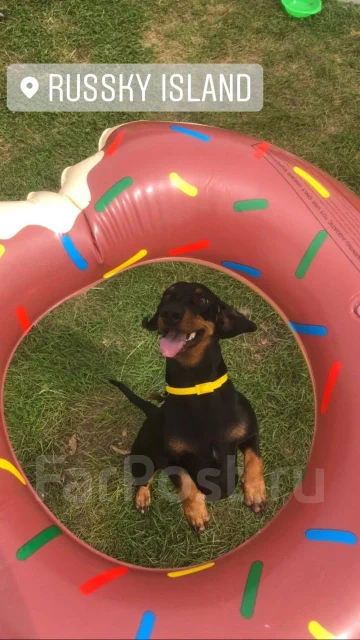 �����. ����