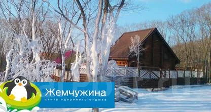 Коттедж С Баней На Новый Год