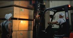 ���������. �� ������������ �.�. / �������� "����-����. �������� ��������� 13� ����