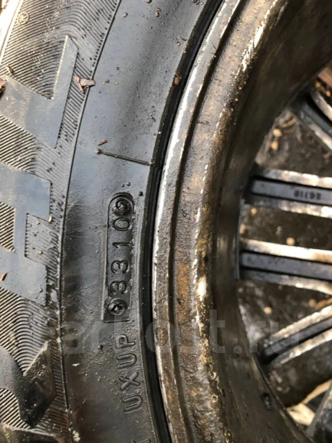 Federal Himalaya WS2. ������, ��� �����, 2010 ���, �/�, ����� 10 % ����