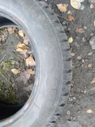 Firestone Ice Cruiser 7. ������, ����������, �/�, ����� 5�% ����