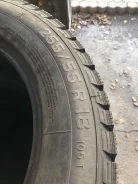 WolfTyres. ������, ����������, 2020 ���, ����� ����
