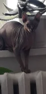 ������. ����
