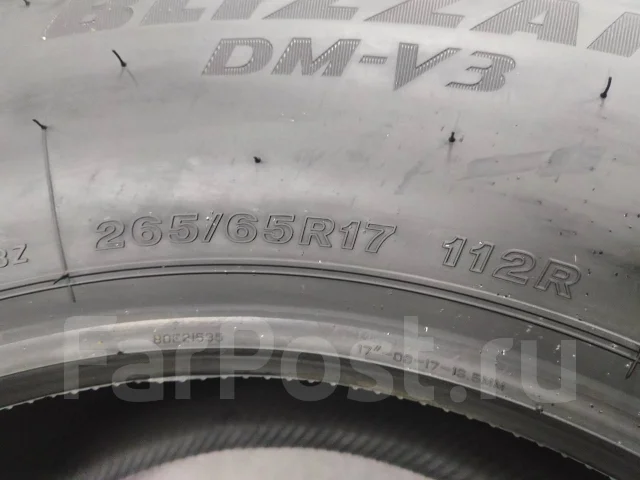 Bridgestone Blizzak DM-V3. ������, ��� �����, 2025 ���, ����� ����
