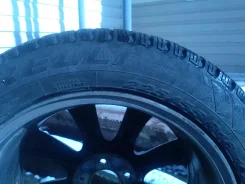 Pirelli Winter Carving Edge. ������, ��� �����, 2012 ���, �/�, ����� 50�% ����