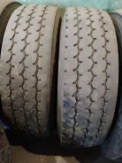 TyRex. �����������, 2019 ���, �/�, ����� 30�% ����